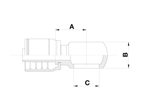 BM1