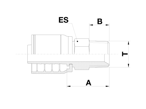 BTM1