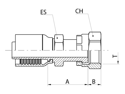 LINE_OF1 T